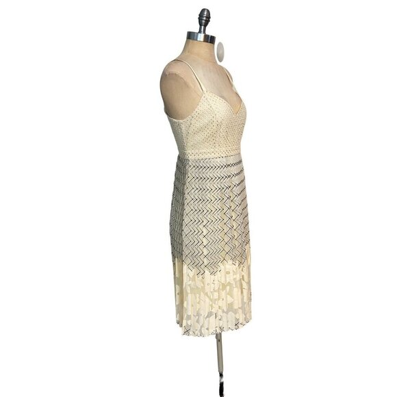 Plenty by Tracey Reese Santi Ivory Dress size 6 - Picture 4 of 8